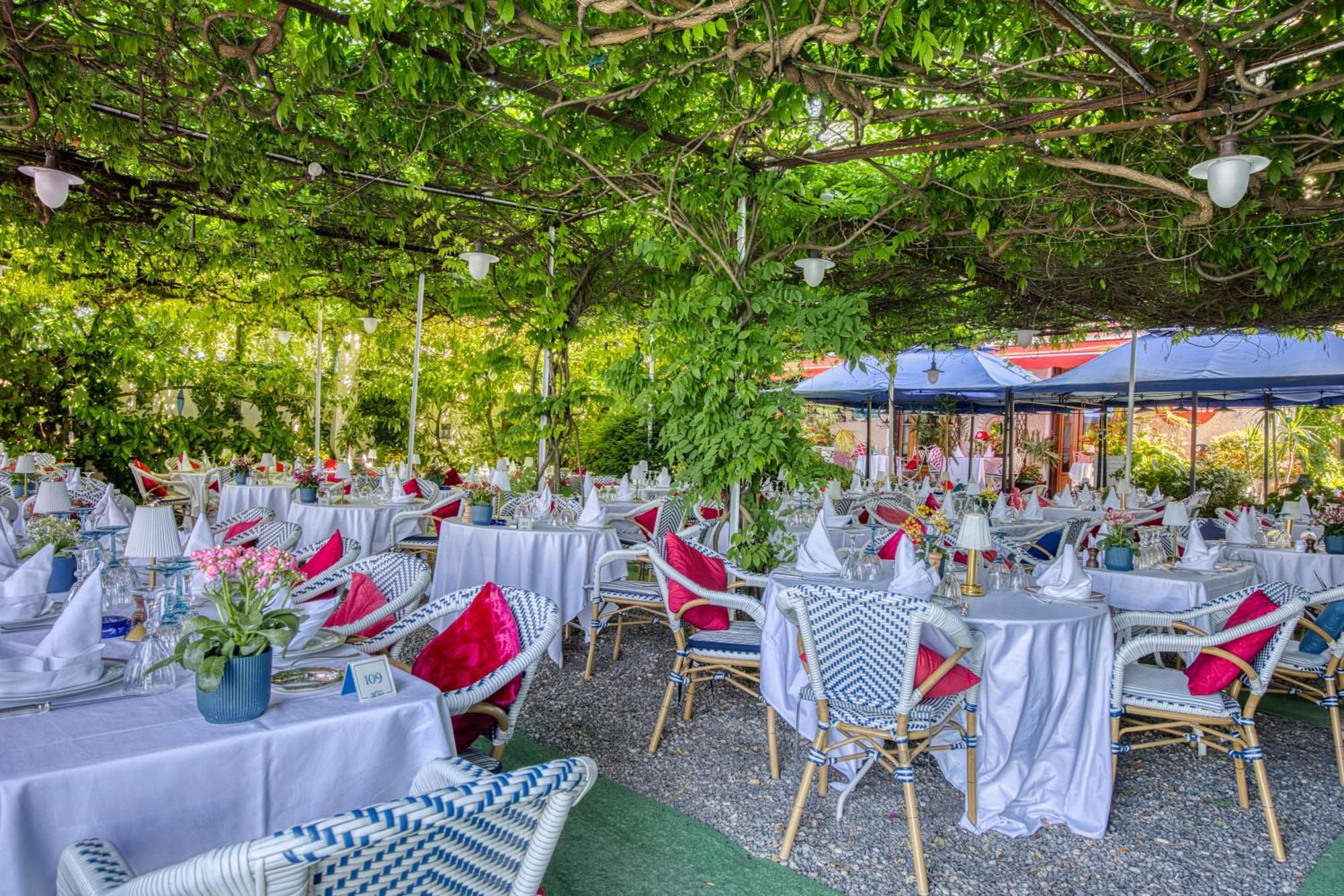 Les Cygnes Hotel Évian-les-Bains Екстериор снимка